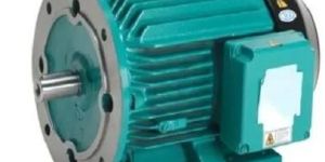 Crompton Greaves Motor