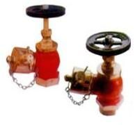 Screwed Inlet Valves