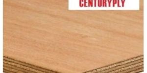 Centuryply Plywood