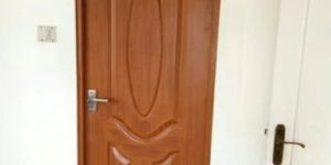 Veneer Panel Door