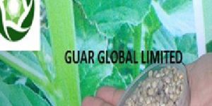 Pure Guar