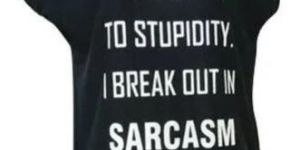 Ladies Round Neck Cotton Top