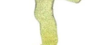 Wrestling Memento Trophy