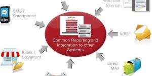 Data Verification Services