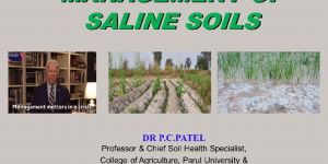 Agriculture Consultancy Services on Soil Health and Nutrient Management for Better Crop Yields