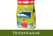 Herbal Medicine for Kidney Stone