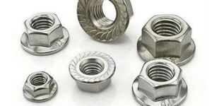 Stainless Steel Flange Nuts