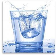 Environmental Services