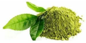 Tulsi Powder