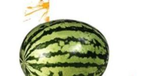 Water Melon