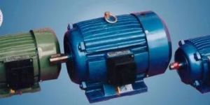 Electrical Induction Motor