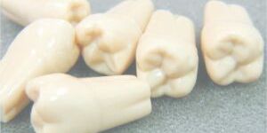 NAVADHA ZX - INDIVIDUAL TEETH