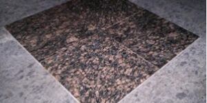 Tan Brown Granite