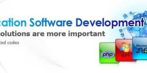 Custom Software Development