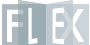 Adobe Flex Development Services