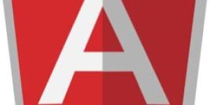 Angularjs Development Services