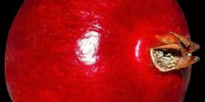 Fresh Pomegranate