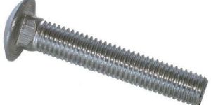 SS Carriage Bolt