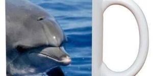 Sublimation Photo Mug