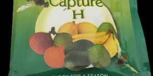 Capture - H Bactrocera zonata