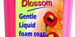 Liquid Foam Soap