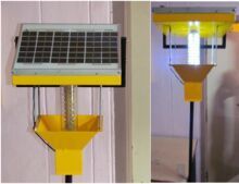 Solar Insect Trap