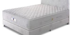 Restonic Mattresses