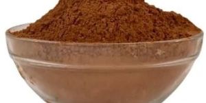 Cinnamon Dalchini Powder