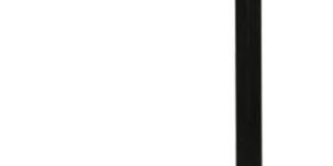 Twister Gym Equipment