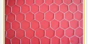 Hexwire Netting
