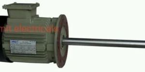 Stirrer Motor