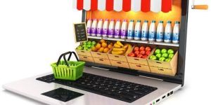 Ecommerce Website Development Services