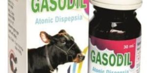 Gasodil(30ml) Veterinary Medicines