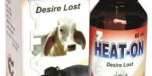Heat-on Medicine (60ml)