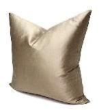 Silk Cushion
