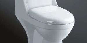 Ceramic Water Closet