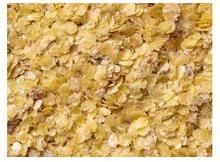 Supreme Quality Corn