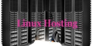 Domain Web Hosting Services
