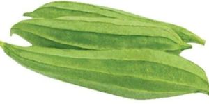Ridge Gourd