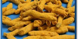 Turmeric
