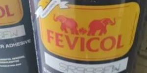 Fevicol