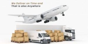 Domestic Air Cargo Services