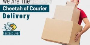 House Hold Items Courier Services