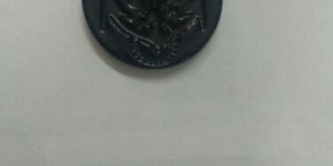 Plastic Anchor Button