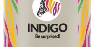 Knifing Paste Filler