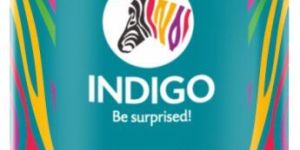 Premium Interior Emulsion