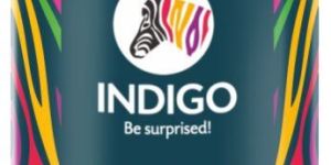 Water Thinnable Cement Primer