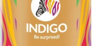 Zinc Chormate Primer