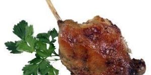Duck Leg