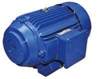 Hollow Shaft Motors